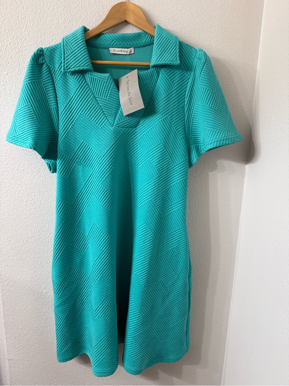 See and Be Seen Puff Sleeve Textured Dress with Pockets, NWT Size Large